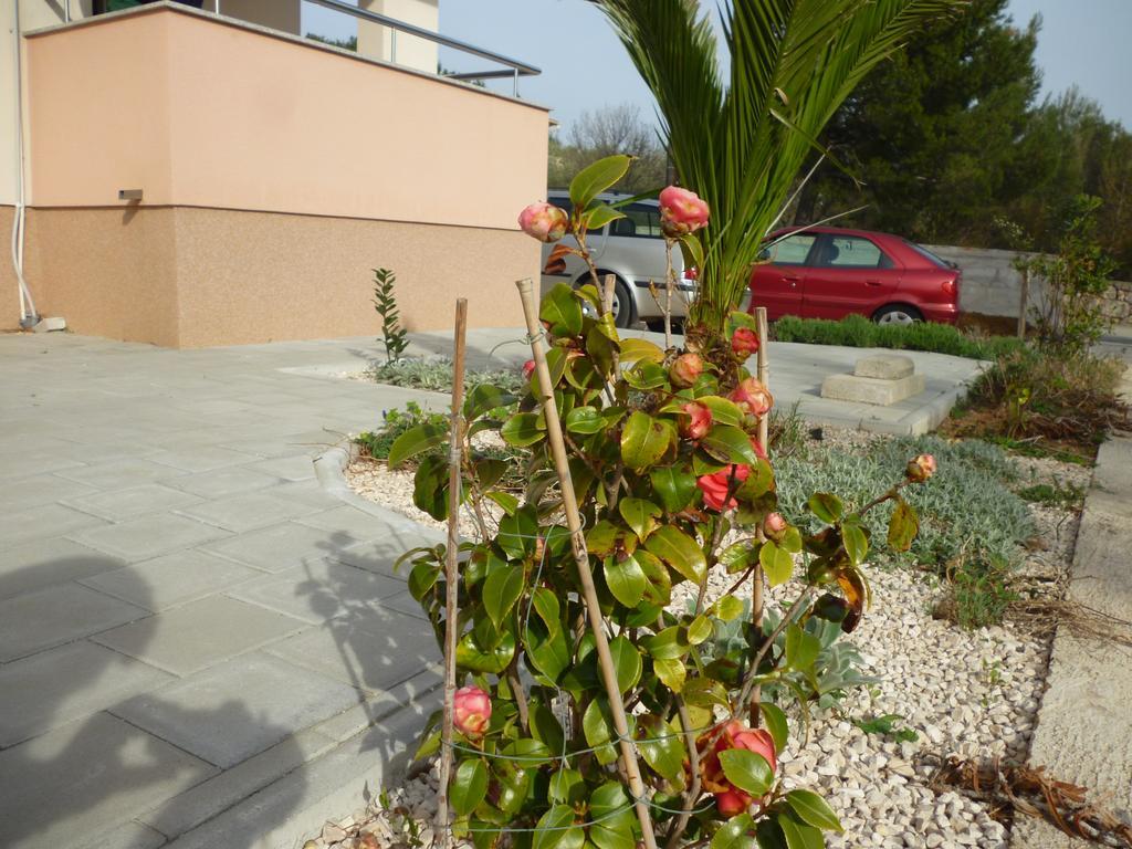Apartman Branka Starigrad Paklenica Ngoại thất bức ảnh
